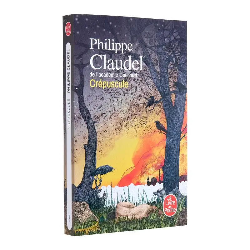 

Сумеречный в ночное время Philippe Claudel Le Livre De Poche 9782253247081 Книга