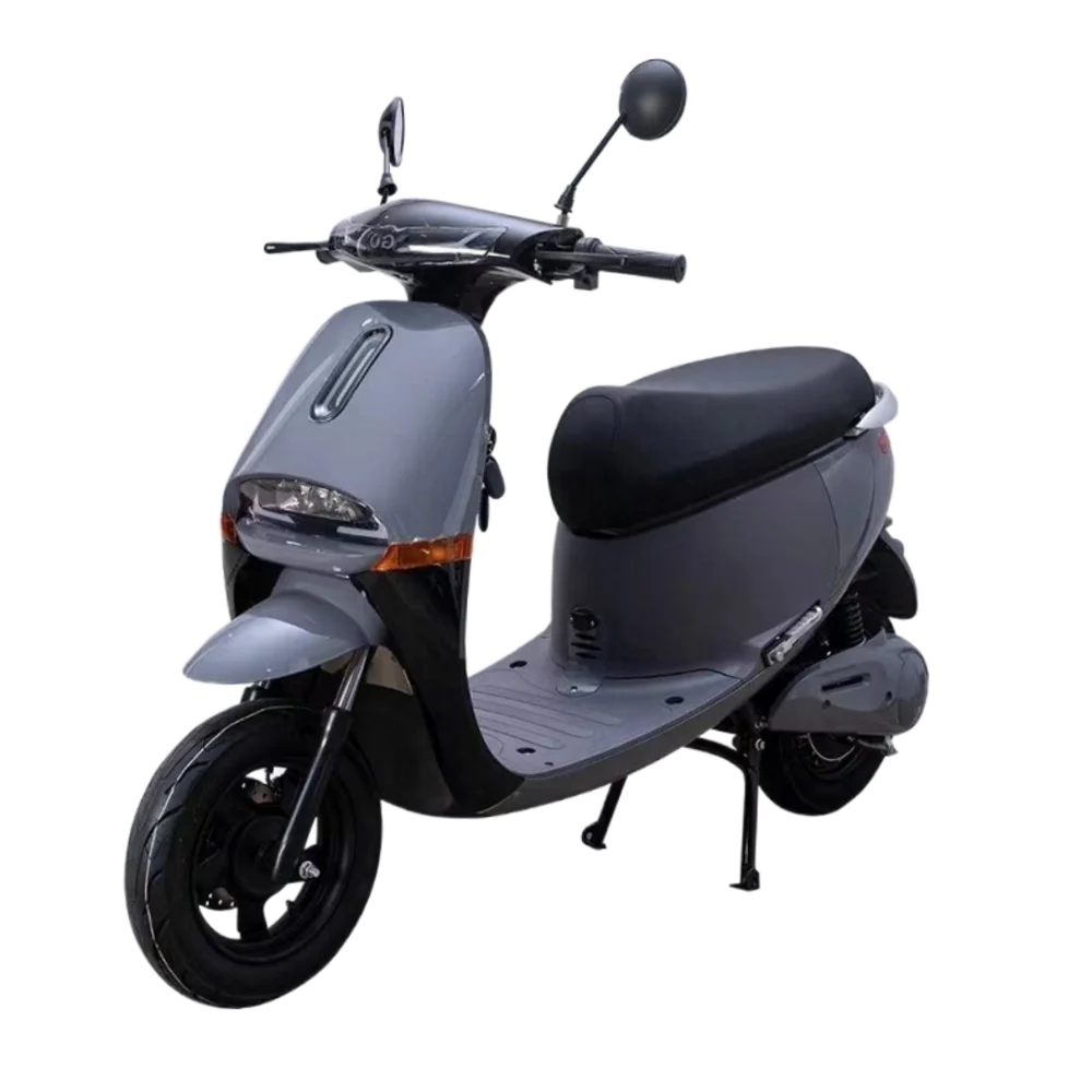 GOGO 2023 Wholesale Powerful Lithium Battery Electric Motorcycle With High Quality