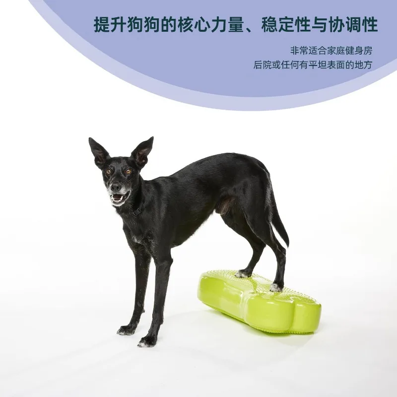 Dog Balance Training Platform Rehabilitation Pad for Post Surgery Recovery