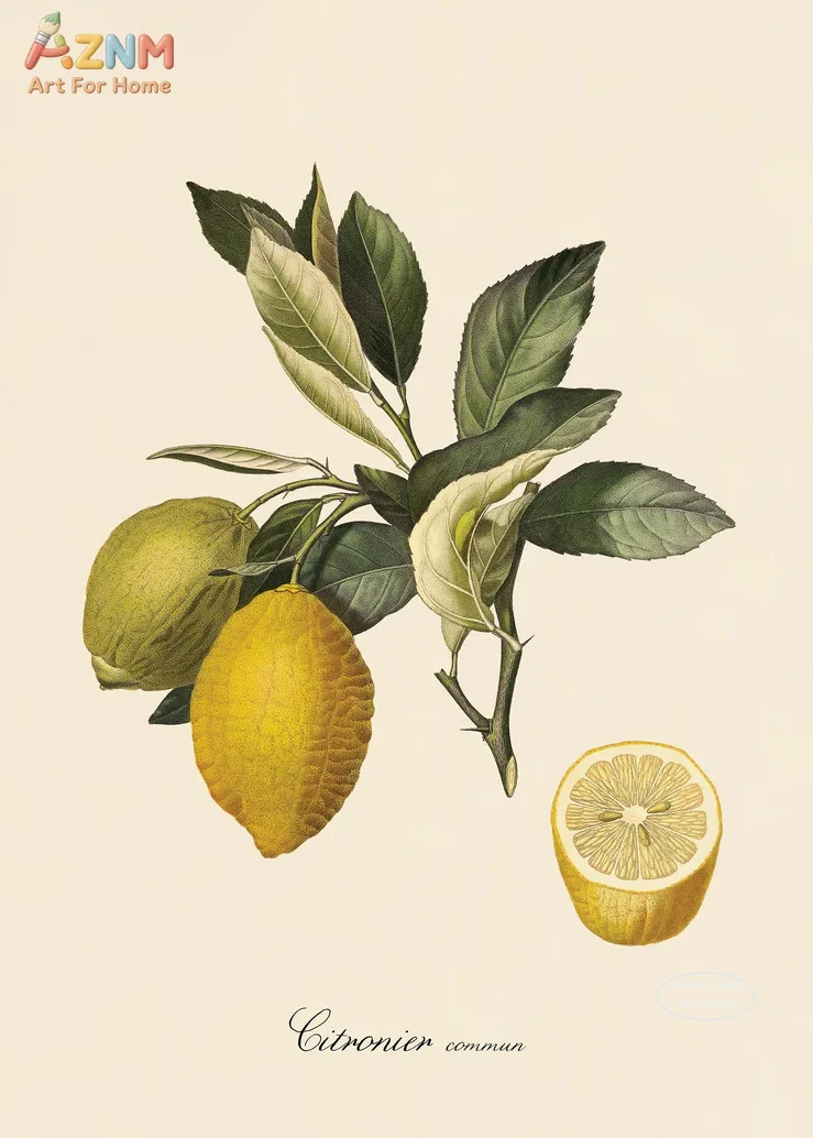 1pc Vintage Botanical Fruit Lemon Prune Orange Vintage Posters and Prints Wall Art Canvas Painting Wall Kitchen Decorati view 5