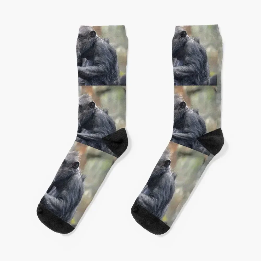 Chimpanzee Socks valentine gift ideas floor basketball Women's Socks Men's