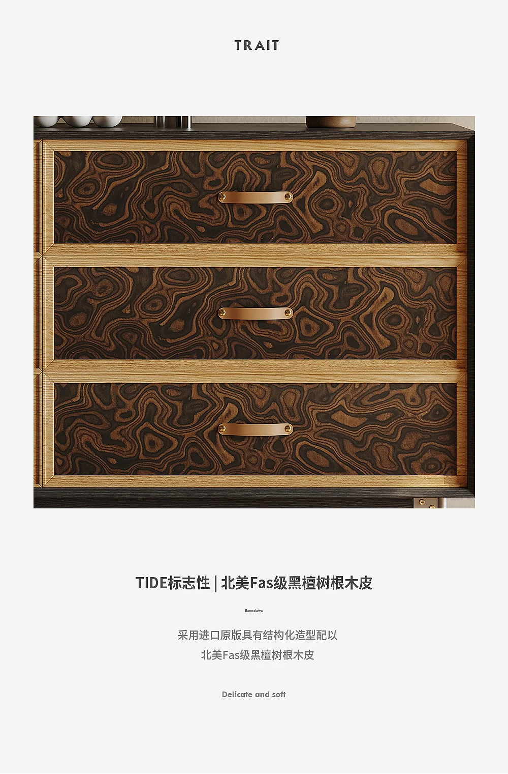 خزانة تخزين حائط لغرفة النوم الفاخرة ذات الفن الفرنسي القديم #6