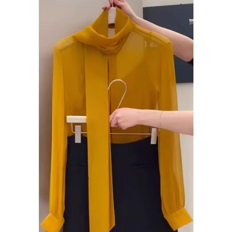Korean Commuting Temperament Loose Ribbon Shirt 2025 New Long-sleeved Fashion Tulle Top