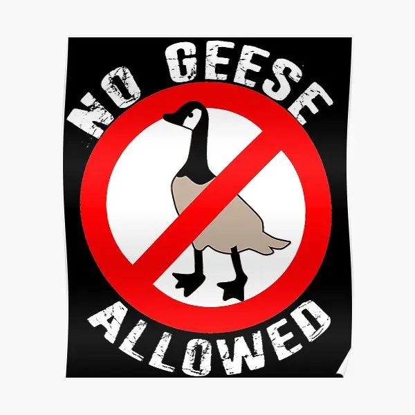 No Canadian Geese Goose No Geese Allowed  Poster Mural Funny Decor Room Home Modern Art Print Painting Picture Wall No Frame