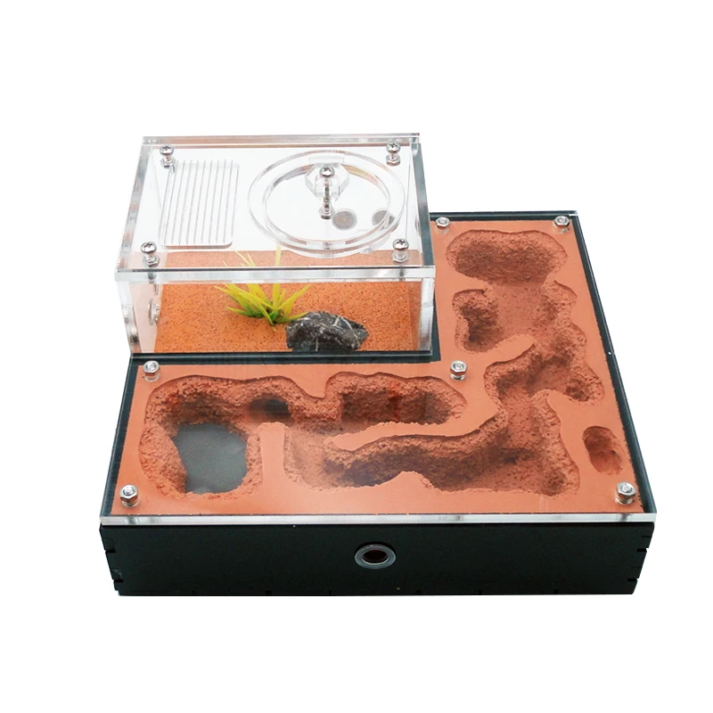 Ant Farm mini CC with External Water Tower Moisturise Ant Nest Pet Ant Queen Breeding Area Anthill Castle Ant House Insect Box