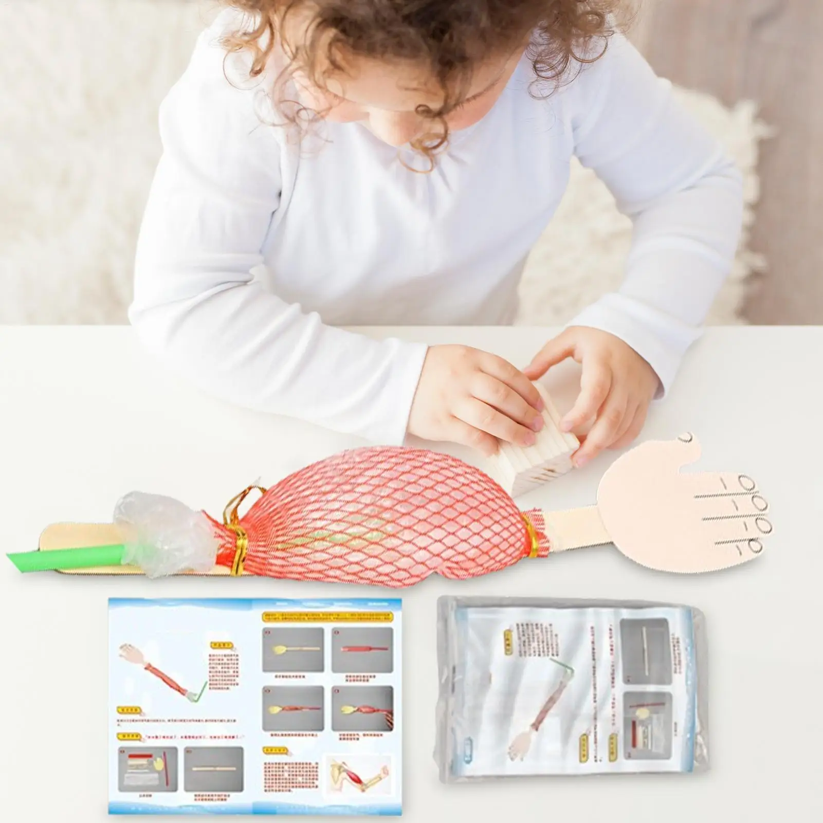 Kit de experimentos biológicos, proyecto científico interactivo, juguete, experimentos científicos, juguetes para niños, aprendizaje de ciencias, juguetes de educación temprana