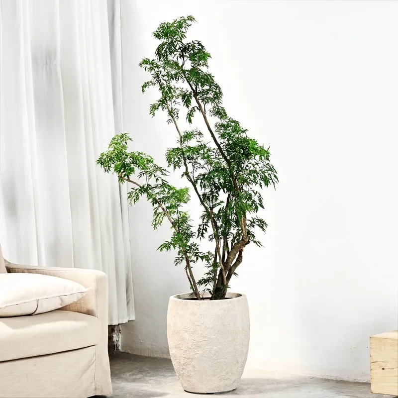 for Nordic Light Luxury Handmade Magnesium Clay Cement Tall Vintage Large Garden Circular Pattern Flower Pot for Monstera