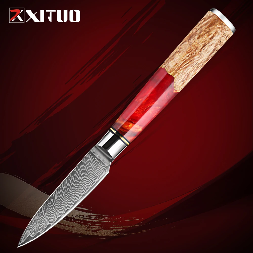 

Paring Knife 3.5 Inch Damascus VG10 Core Steel Fruit Knife Ultra Sharp 67 Layers Classical Pattern Red resin & wood handle