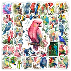 Painting Parrot Bird Stickers Cute Kids DIY Toy Art Gift Decorative Decal for Scrapbook Laptop Phone Bottles Waterproof