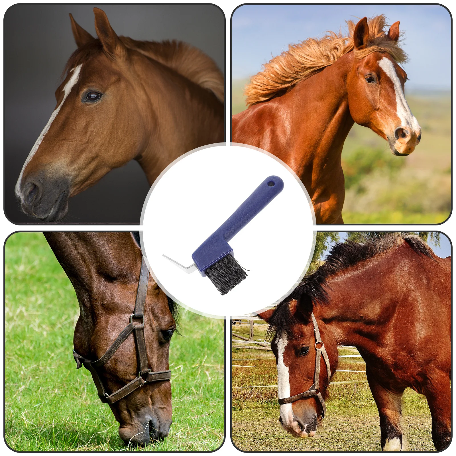 أداة تهذيب الحصان المتينة المصنوعة من الحديد المقوى والبلاستيك وفرك الحواف نظيف تمامًا للطقس البارد والرطب والأيدي المتوافقة