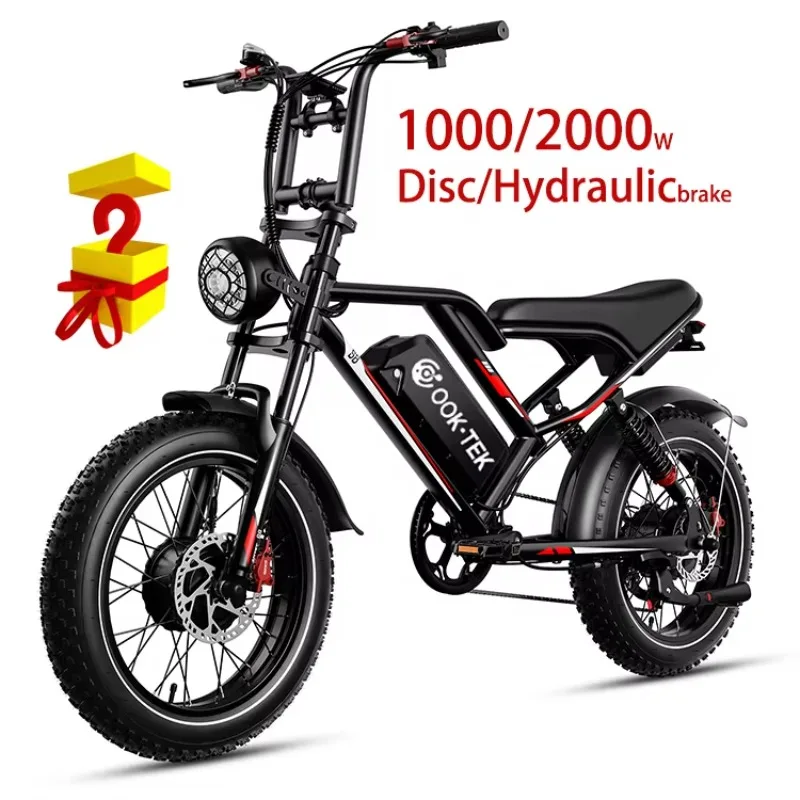 

STLF US Warehouse Cheap Adult 48V 20AH 25AH 1000W Dual Motor Electric Bike Fatbike Electric Bicycle With Pedal Drop Shipping EBi