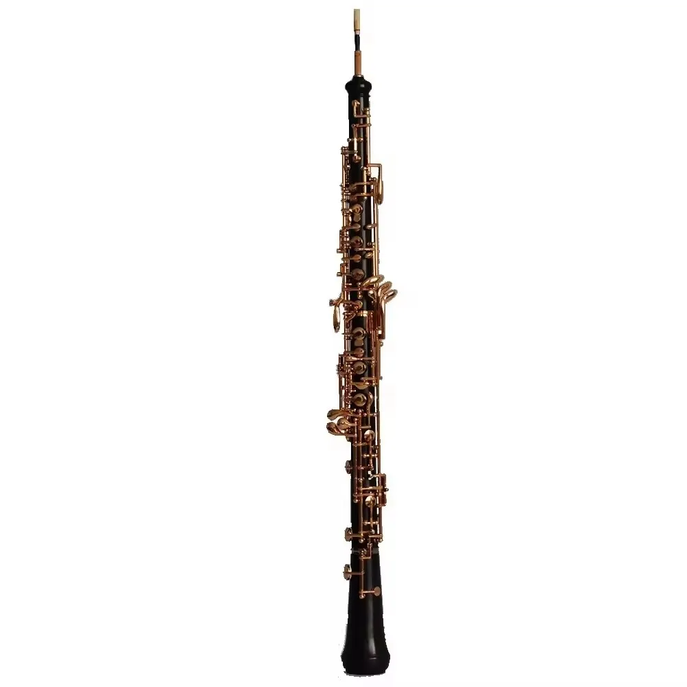 C‑Key Oboe Ebony Body Gold‑Plated Keys Woodwind Musical Instrument