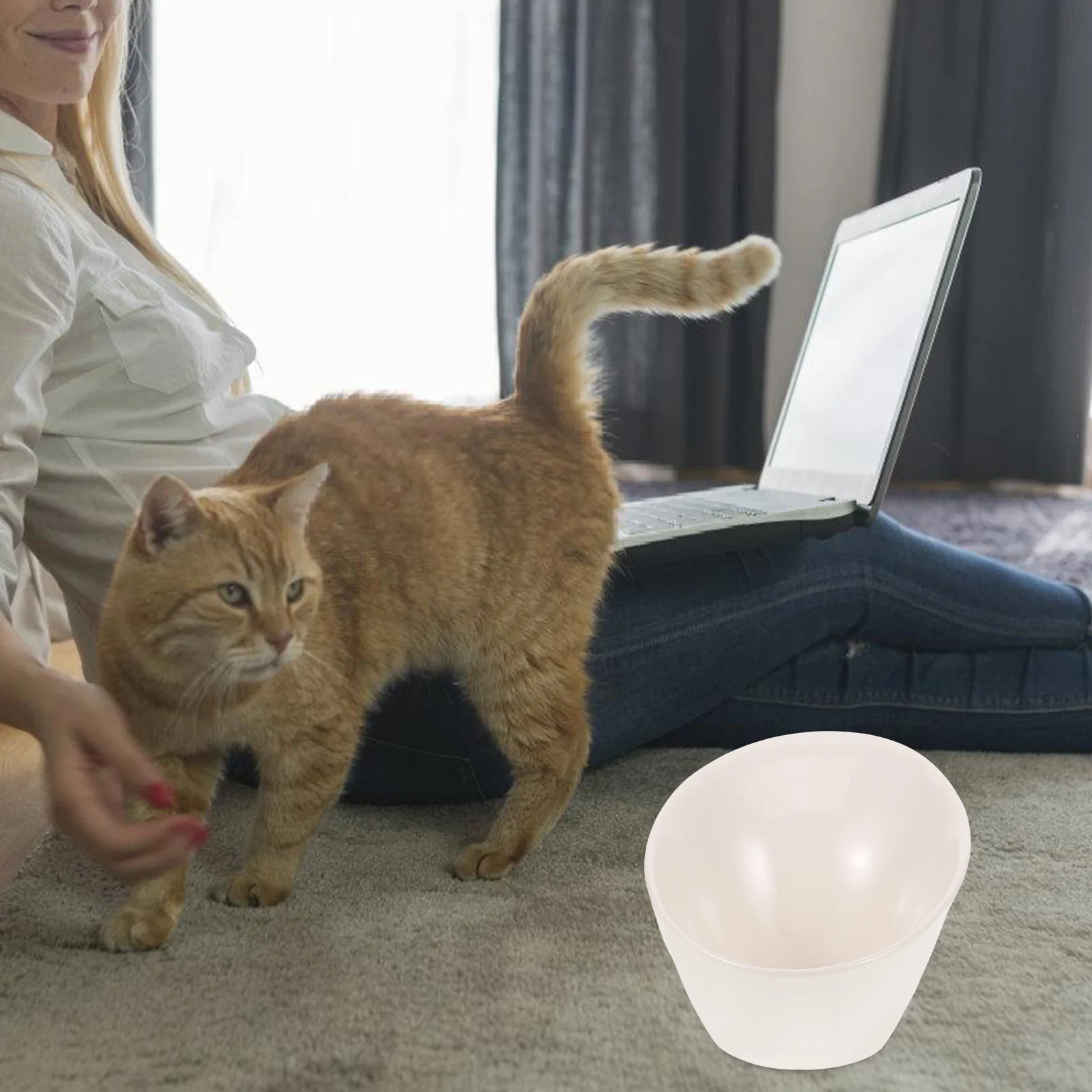 

Ceramic Cat Bowl Tilted Anti-Spill Raised Design Pet Food Water Bowl Durable Smooth Surface Easy Feeder