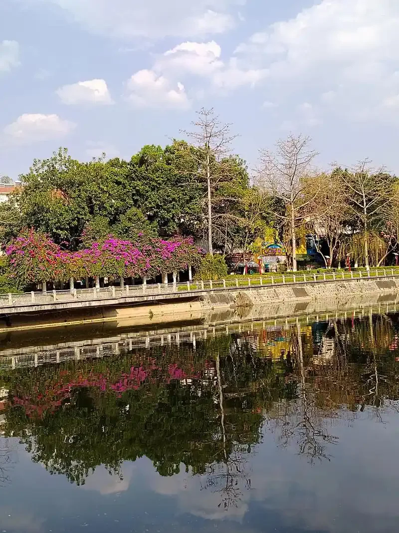 

Stainless Steel 51/53.3/58mm Screen Metal Coffee Espresso Reusable Filter for 51/54/58mm Portafilter Coffee Tool