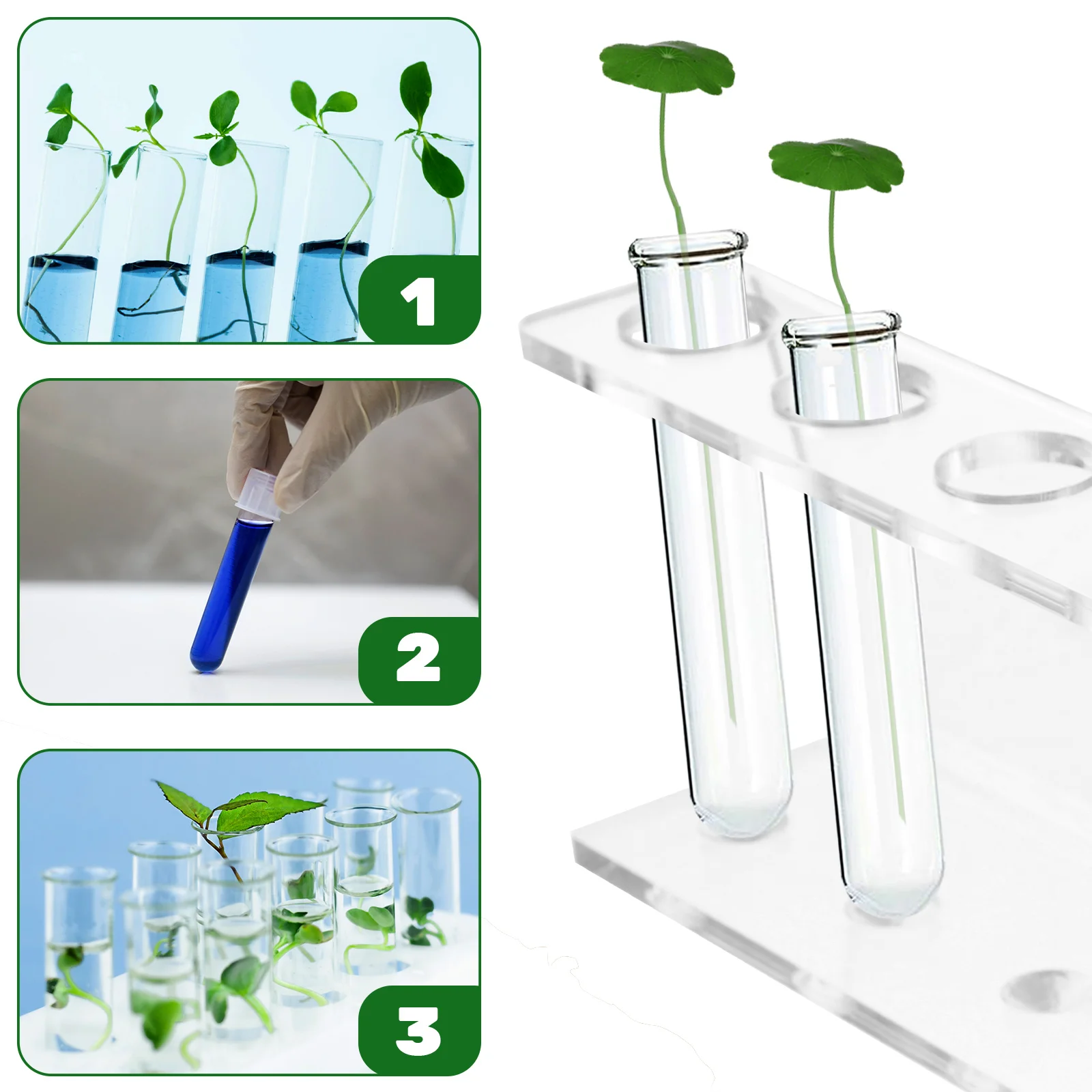 Acrylic Display Stand Hydroponic Rack Porous Test Tube Shelf for Tubes Transparent Storage Pool Cue