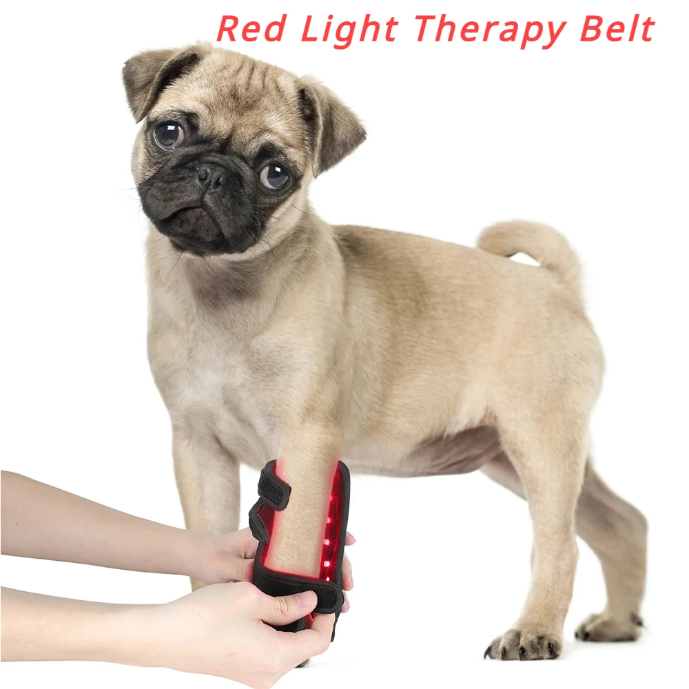 1PC Red Light Therapy Belt for Animals Joint Pain Skin Disease 660nm 850nm Cold Laser Therapy Device for Pets Pain Relief