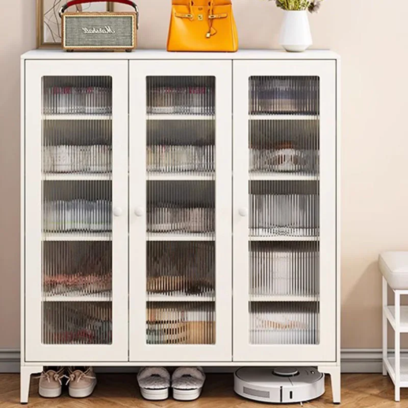 Shoe Cabinet Cloud Large Size Aesthetic Decoration Cheap Clear Safe Shoe  Furniture