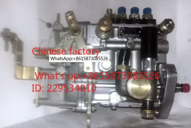 Fast shipping BH4QT85R9 4QTF879ZH 4QTF74ZH-1 Pump engine WATER cooled engine suit Chinese engine