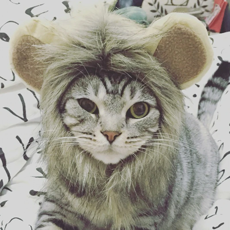 Funny Cute Pet Costume Cosplay The Lion Small Ears Wig Cap Hat for Cat Halloween Clothes Fancy Hat Cat Dog Headgear Hat Turned