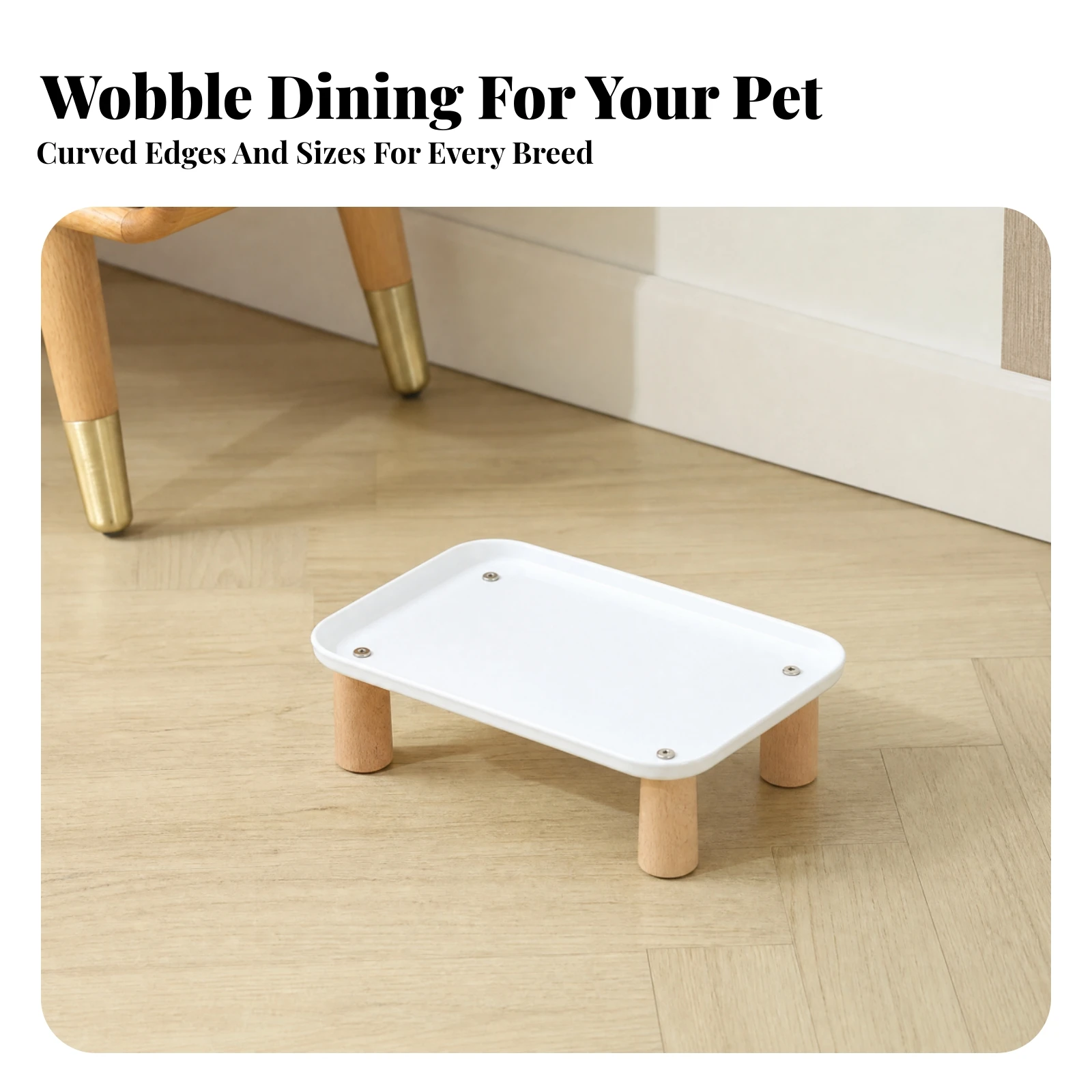 Plateforme d'alimentation surélevée pour animaux de compagnie à un seul niveau, plateforme d'alimentation stable en polypropylène avec pieds en bois, élégante et compacte