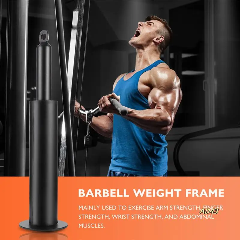 

1 Sets Gym Weight Pin Barbell Weight Plate Cable Holders Barbell Slice Loading Pin Black Metal