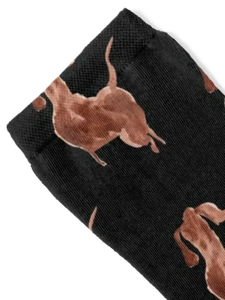 doxie Socks snow tennis Sports professional running Socks Female Men's