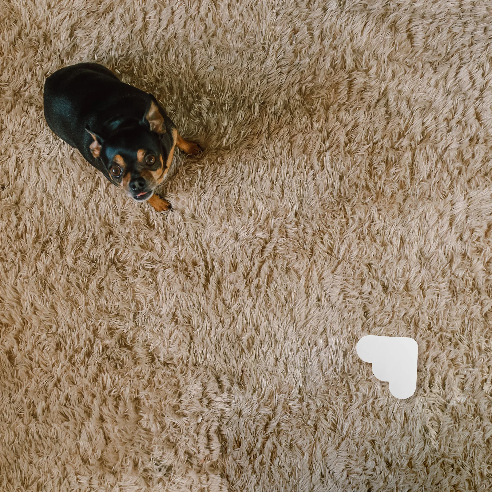 Рисунок 2 - наклейки на коврик