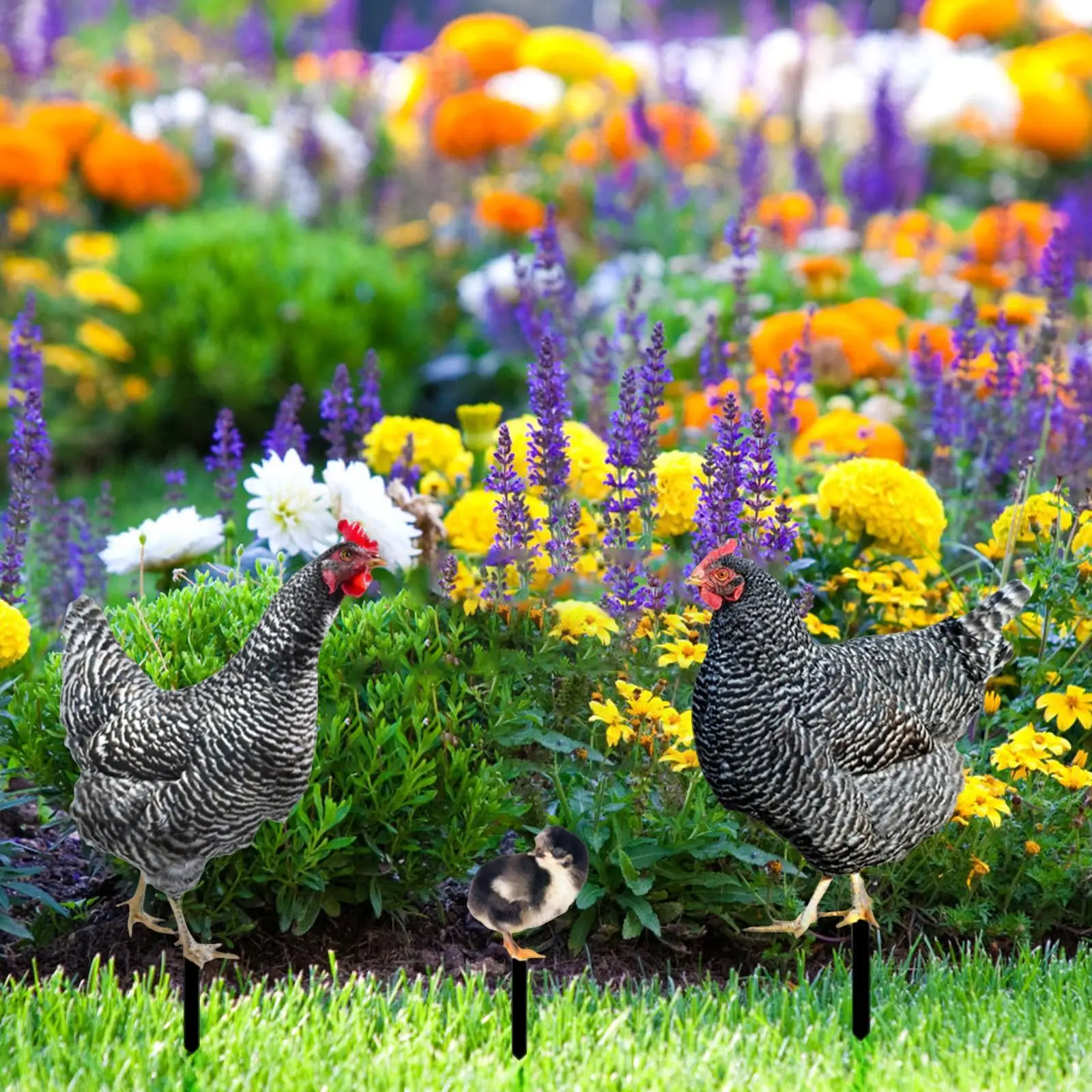 3Pcs Chicken Statues Garden Stakes Yard Art Lawn Sign, Animal Sculptures,Chicken Figurines Ground Insert for Outdoor, Patio