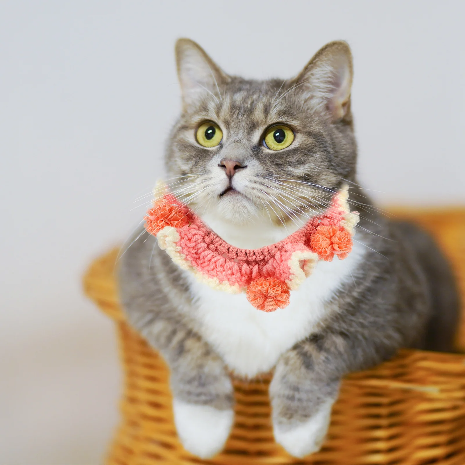 

Adjustable Lightweight Flower Design Cat Collar Decorative Pet Collar for Party Festival Holiday Cat Accessory