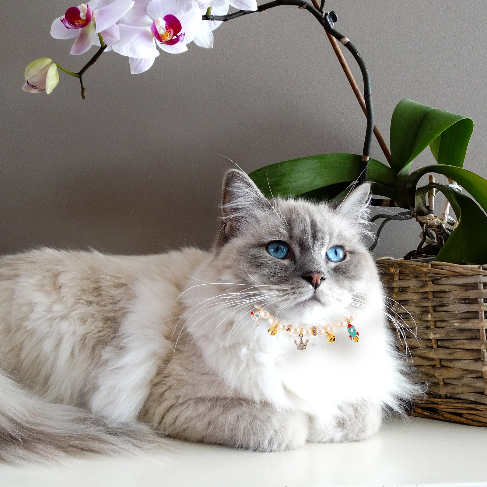 

Pearl Cat Collar Puppy Necklace Bells Adjustable Daily Wear Christmas Parties Lightweight Pet nament Kitten Accessory Dog collar