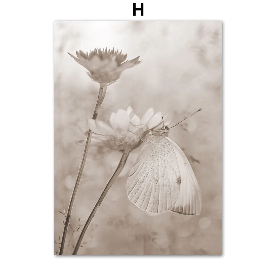 Beige Beach Conch Flower Grass Wall Art Canvas Painting Nordic Posters Aesthetic And Prints Wall Pictures For Living Room Dec