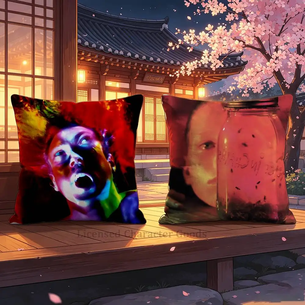 A-Alice in C-Chains Print Cushion Cover Aesthetic Bedroom Decor 30x30 65x65 40x40 45x45 50x50 cm