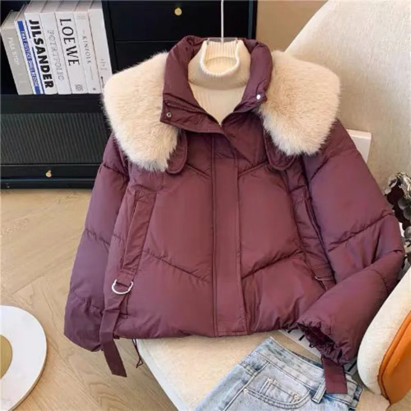 2025 Winter New Down Short Padded Jacket Women Parkas Fur Collar Thick Cotton Coats Clothes Black Brown Casual Outerwear Female