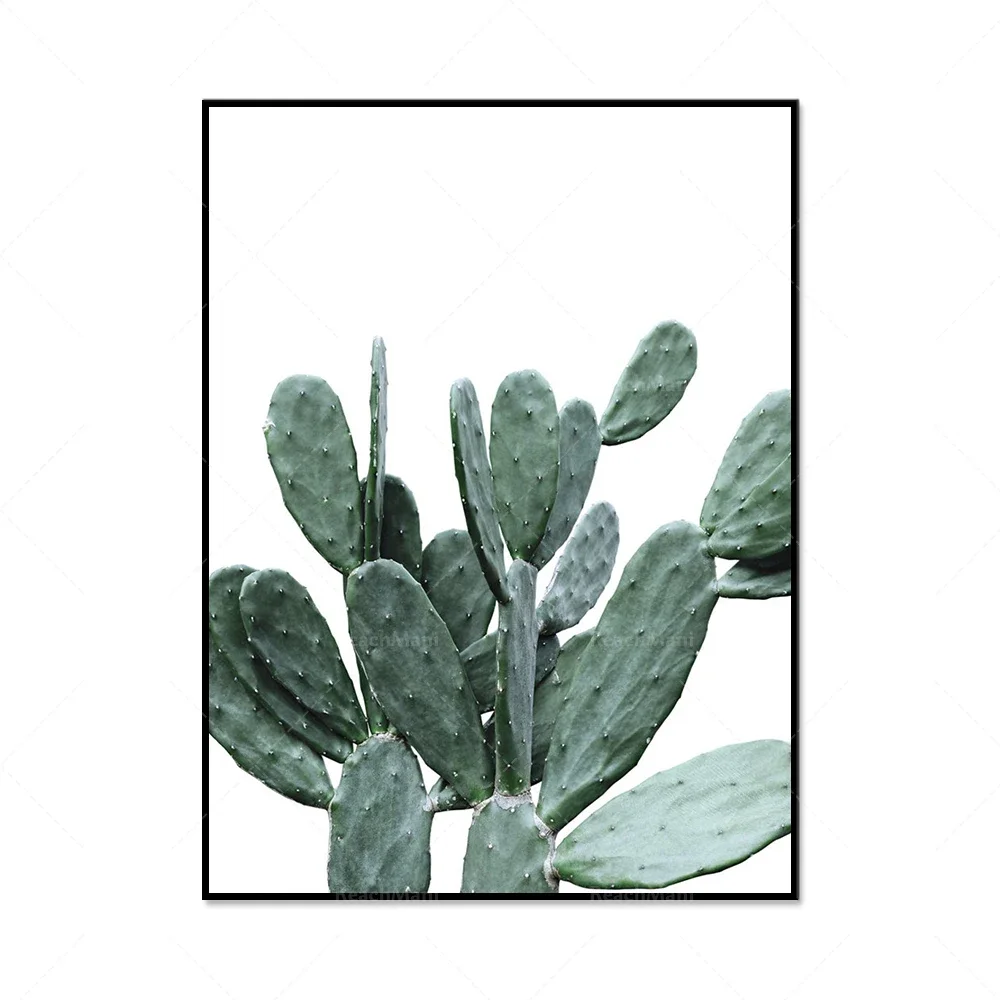 الصبار، العصارة، نباتات الصبار، ملصقات مطبوعة بالنباتات، هدايا تزيين المنزل في غرفة المعيشة