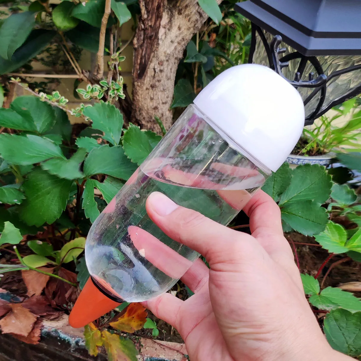 Thumbnail 2 - #35 Trending Plant Pots Right Now