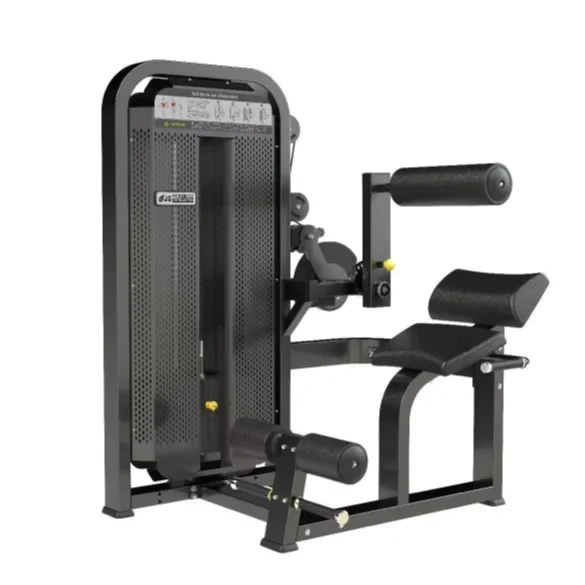 China popular machine Commercial gym equipment back Extension Abdominal crunch machine