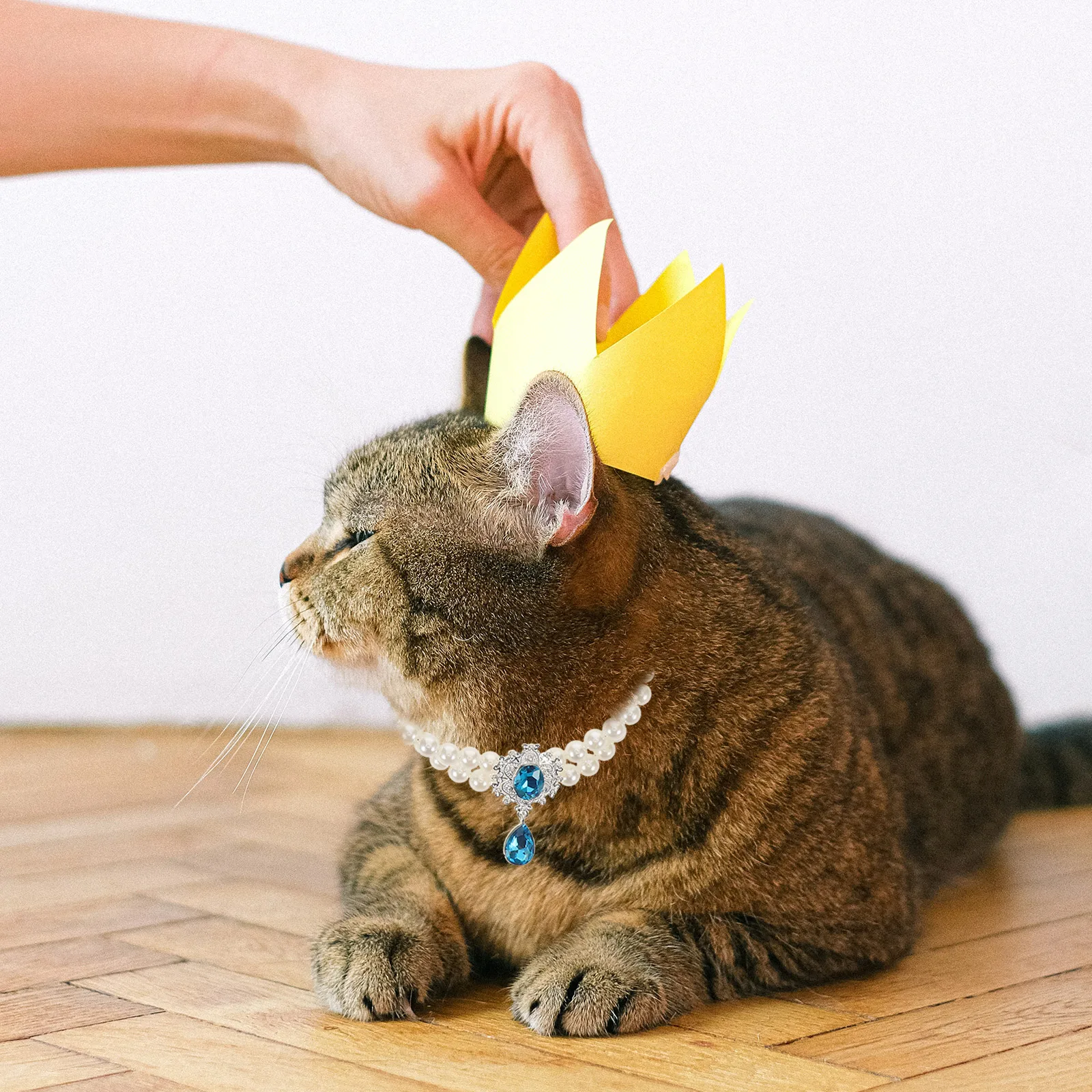 

3 Pcs Pet Diamond Necklace Cat Collar Beaded Dog Jewelry for Cats Neckalce Adjustable