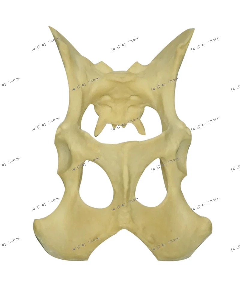 

Модель таза собаки для демонстрации и практики ортопедической хирургии животных, имитация кости для тренировок, ветеринарная костная модель из полиуретановой пены