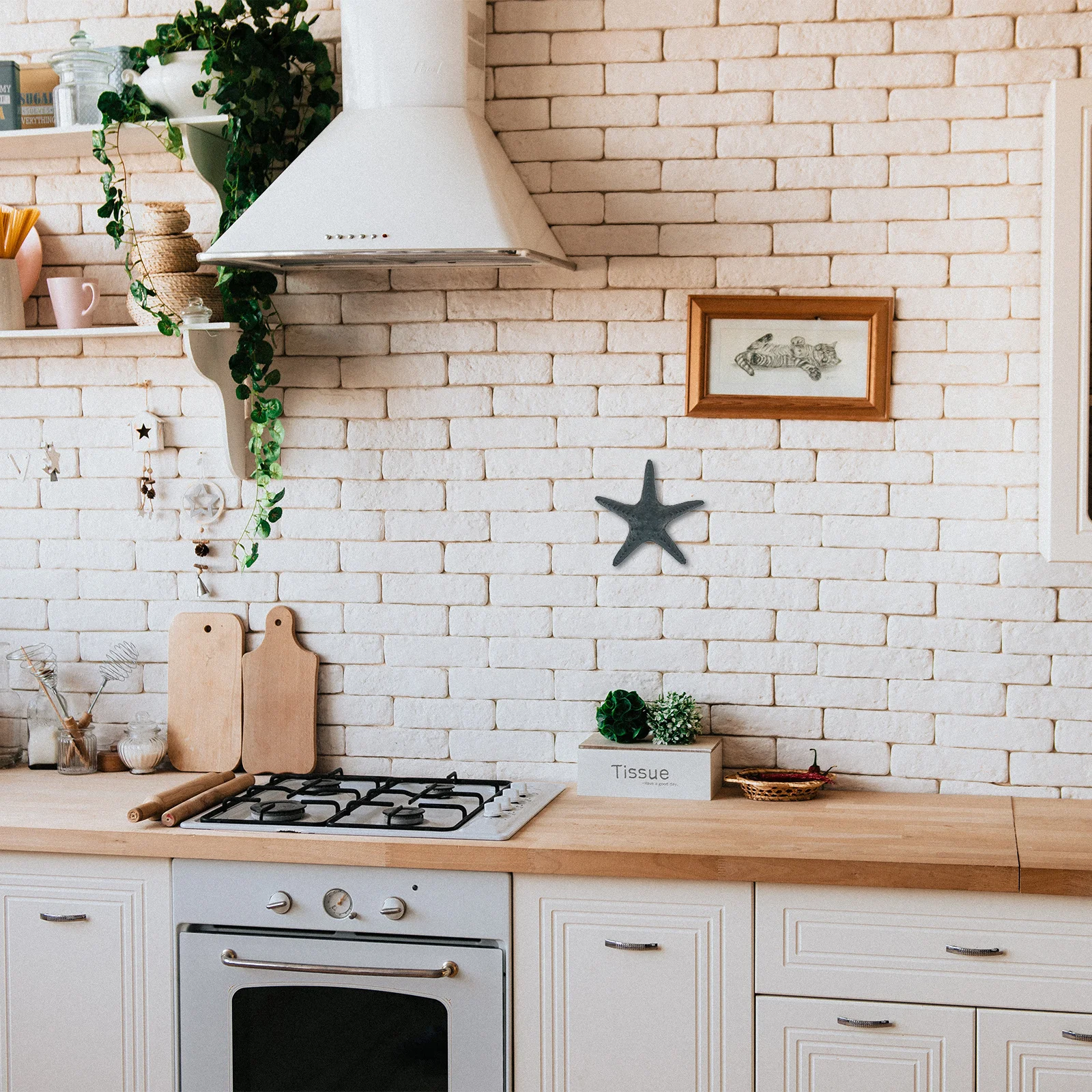 

Artificial Resin Craft Realistic Desktop Decoration for Home Shop Photography Props Star Decor Photo Props