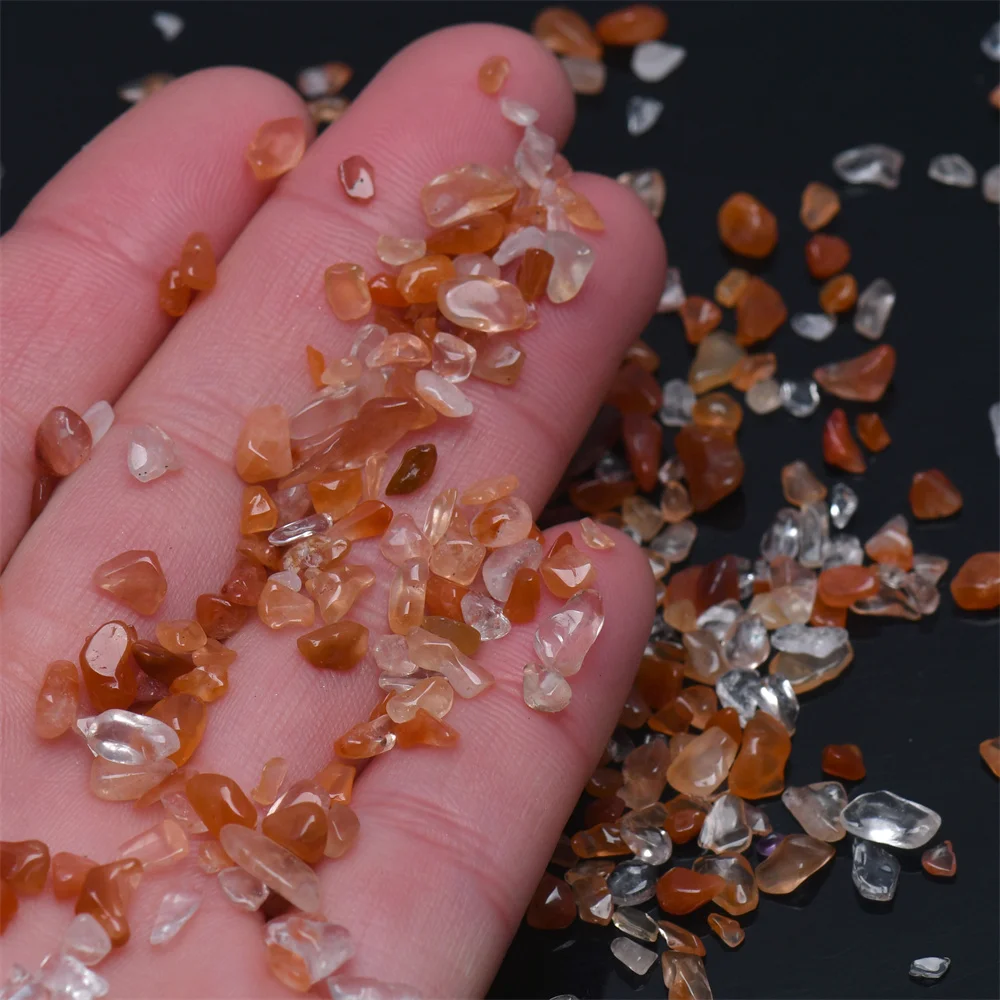 Thumbnail 4 - #34 Latest Vase Fillers Offers