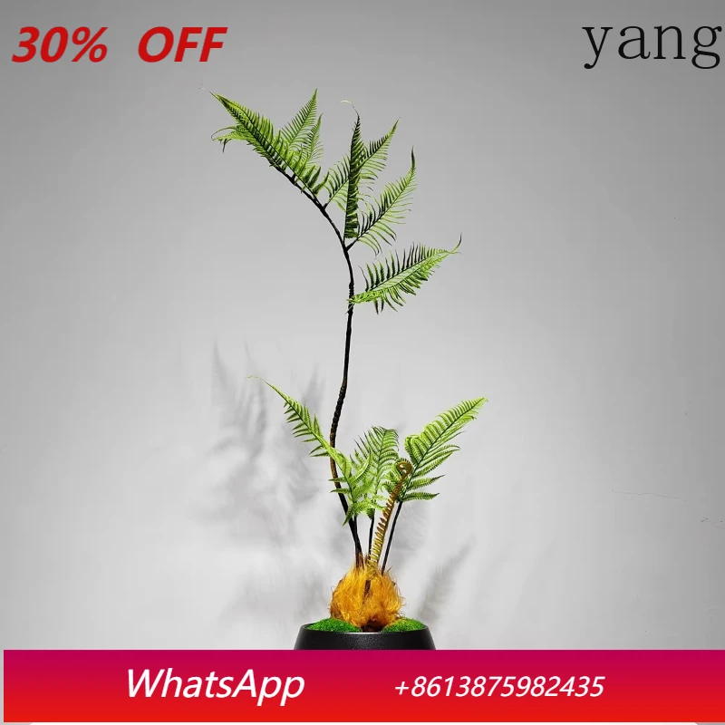 LTT New Chinese Wabi Blaze Golden Monkey Fern Simulation Green Plant Indoor Bonsai Ornament
