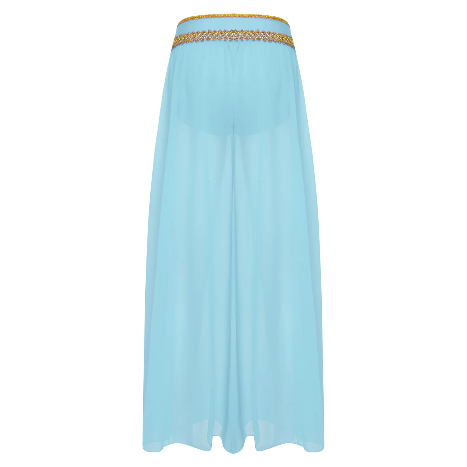 تنورة رقص باليه غنائية للنساء تنورة شيفون شبكية شفافة للأميرة العربية الهندية تنورة أداء الرقص الشرقي