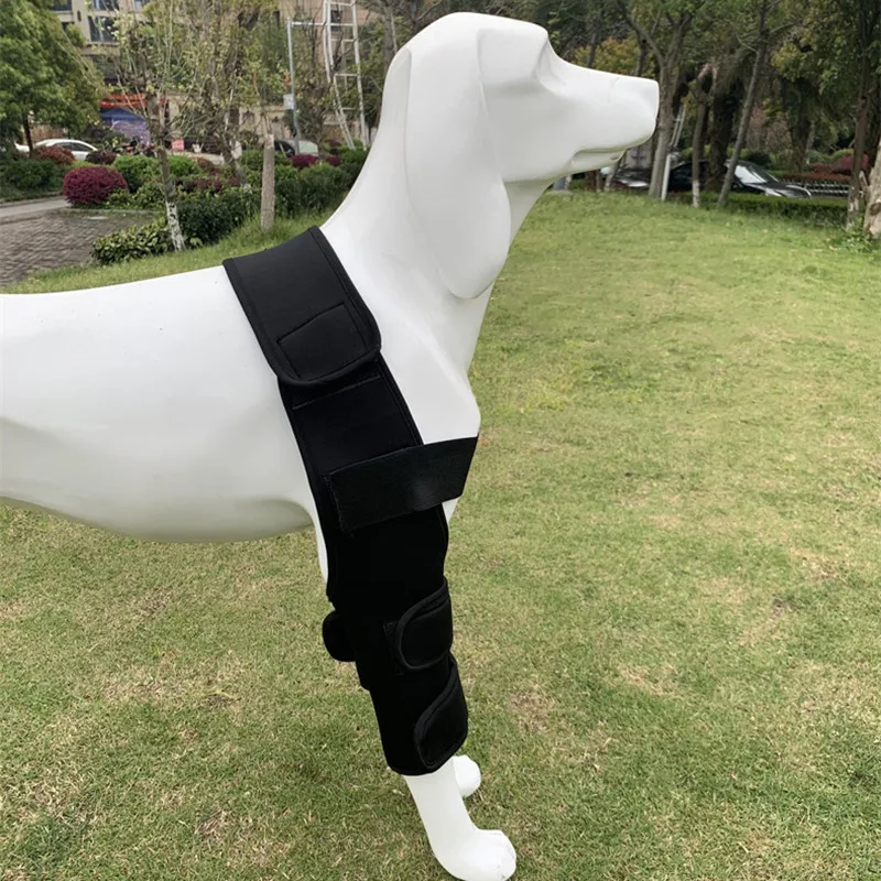 Dog elbow protection pad is suitable for supporting elbow and shoulder moisture, developmental disorders, osteoarthritis