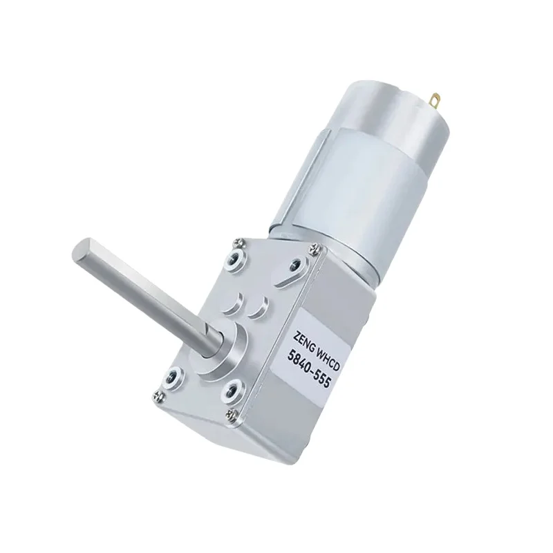 

Micro Worm Gear Brushed Motor 5840-555 12v~24v Unidirectional Long D-type Shaft Forward And Reverse Gear Reduction Motor