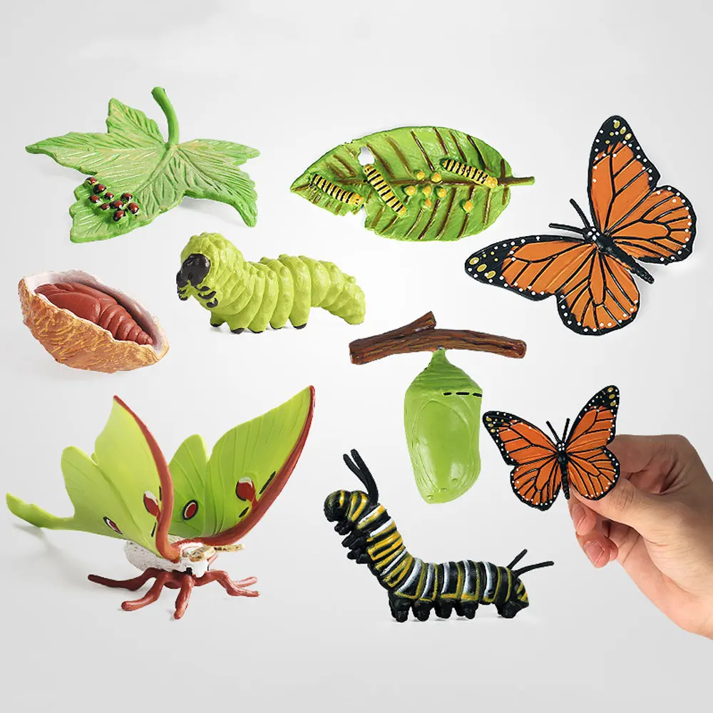 Solid Insect Animal Growth Cycle Model Butterfly Spider Frog Bee Toy Set Children's Learning Cognitive Gifts Decorative ZG304