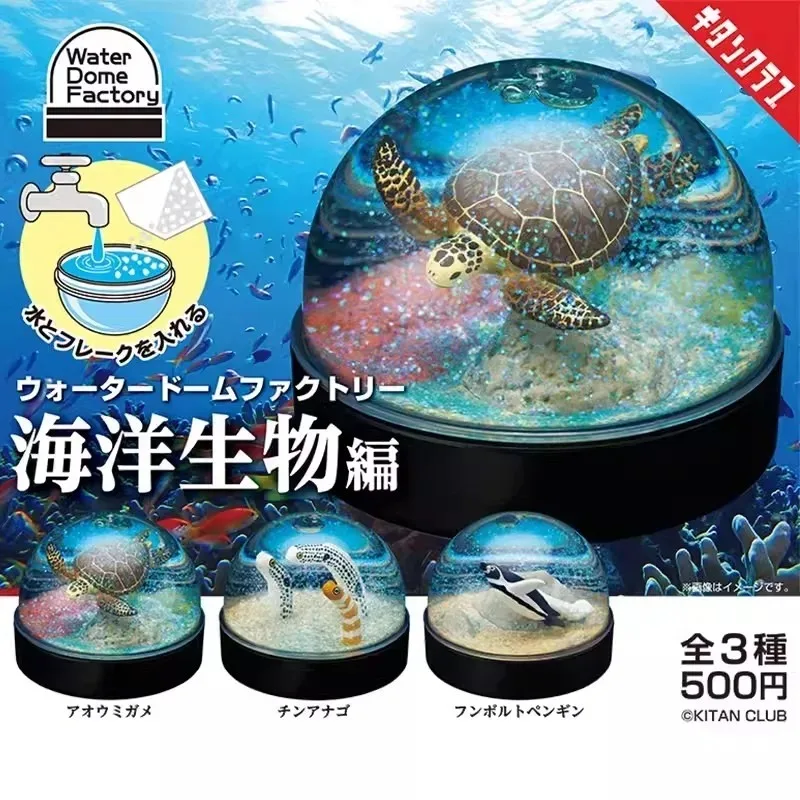 Original Kitan Snow Globe Crystal Ball Sea Turtle Marine Animal Penguin Garden Eel Figure Gashapon Kawaii Capsule Toys Model