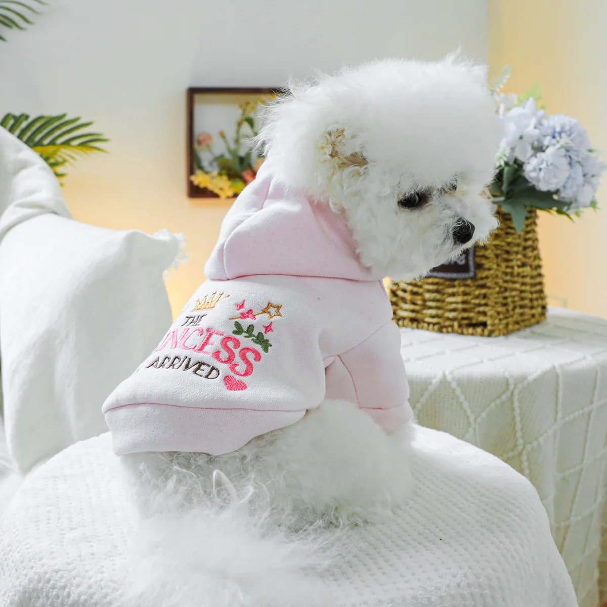 1PC Pet Clothing Spring and Autumn Velvet Pink Little Princess Hoodie Hat Hoodie Suitable for Small and Medium sized Dogs