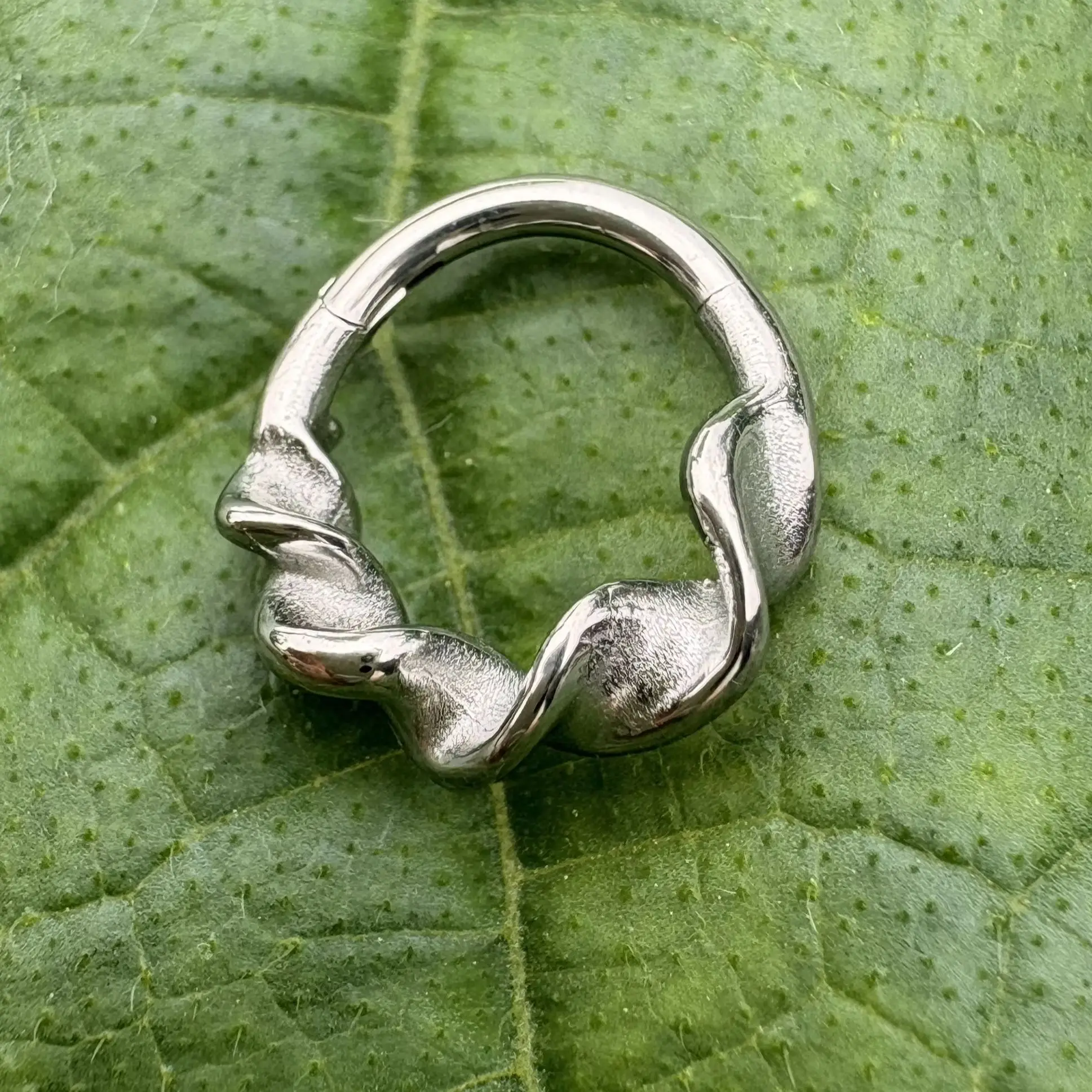 1개 ASTM F136 티타늄 코링, 힌지형 셉텀 클리 - Body Jewelry Septum 리뷰 및 가격