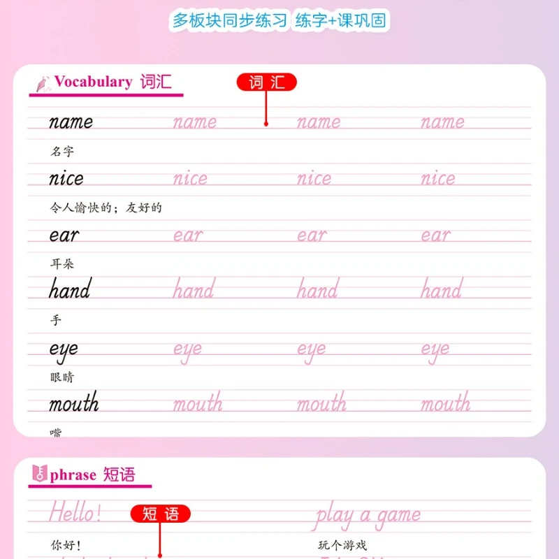 Primary School English Handwriting Practice Book, Curriculum-Aligned Tracing Copybook, Standard English Script Writing Workbook