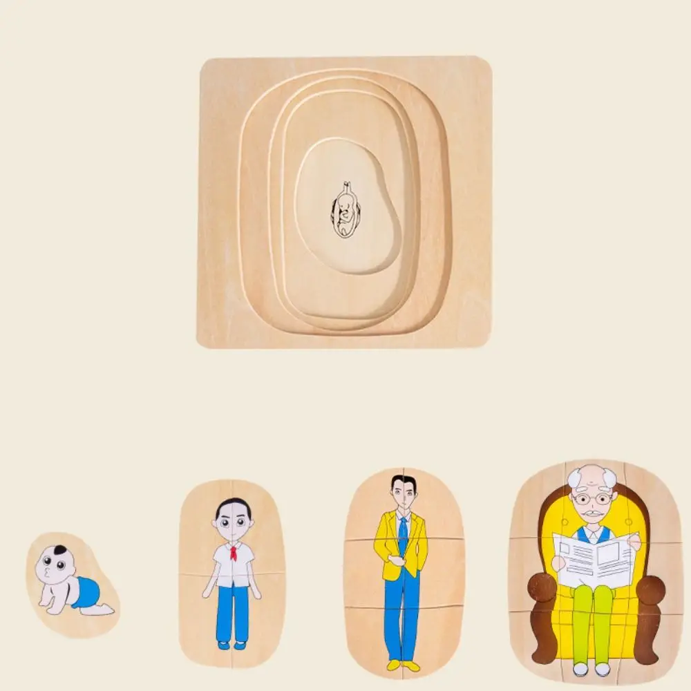 

Matching Life Cycle 3D Puzzle Cognitive Montessori Multi-Layer Jigsaw Challenges DIY Growth Puzzles Wooden Boys Girls